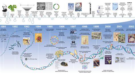 human genome project results pdf|Twenty years of the human genome .